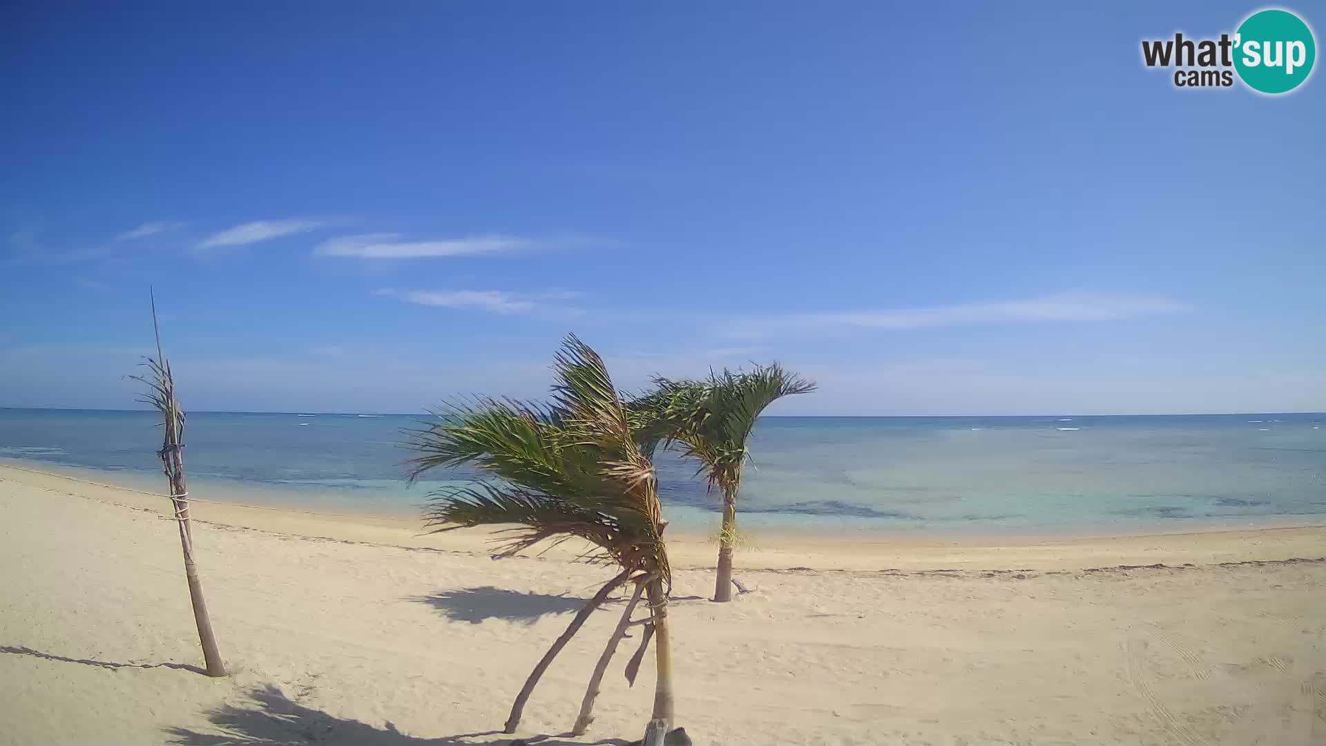 Cámara en Vivo Kite Buen Hombre Kiteboarding School – Playa Buen Hombre – Monte Cristi – República Dominicana