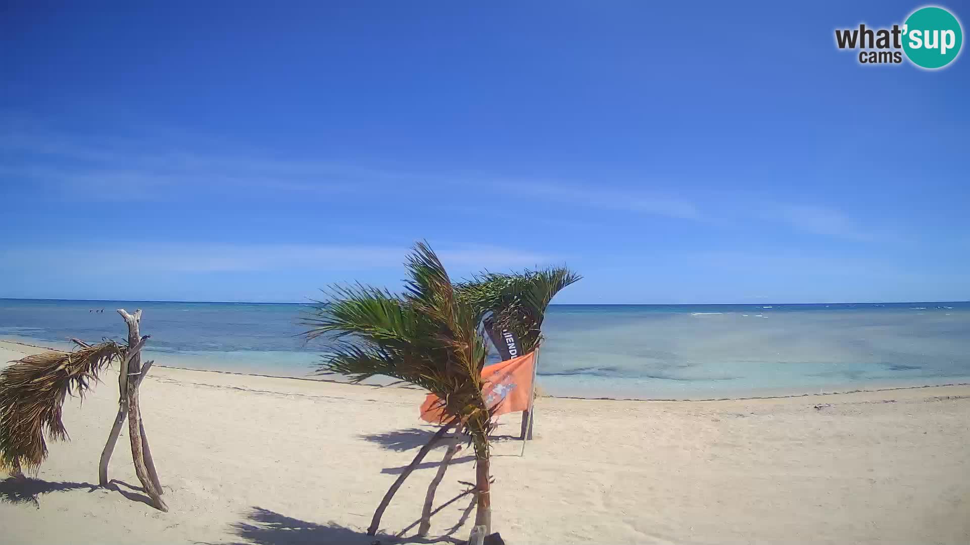 Spletna kamera Kite Buen Hombre Kiteboarding – plaža Buen Hombre – Monte Cristi – Dominikanska Republika