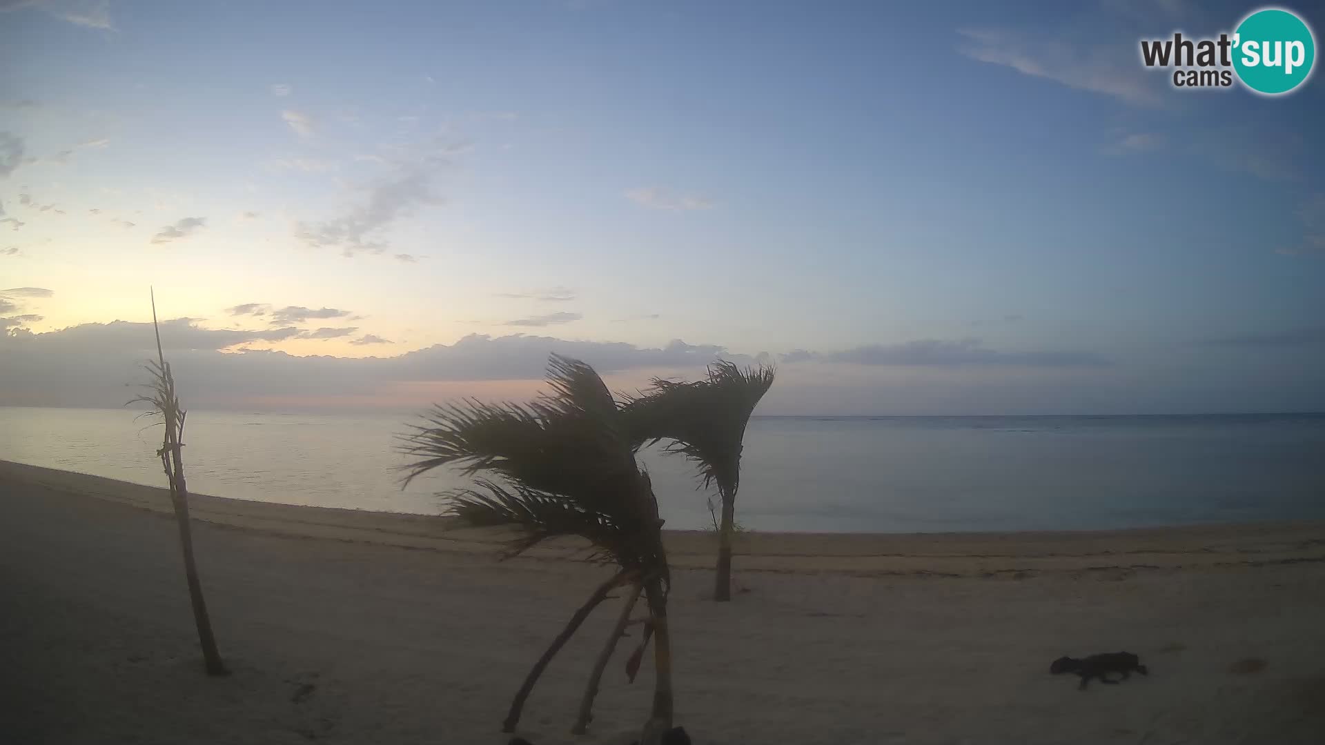 Web kamera Kite Buen Hombre Kiteboarding School – plaža Buen Hombre – Monte Cristi – Dominikanska Republika