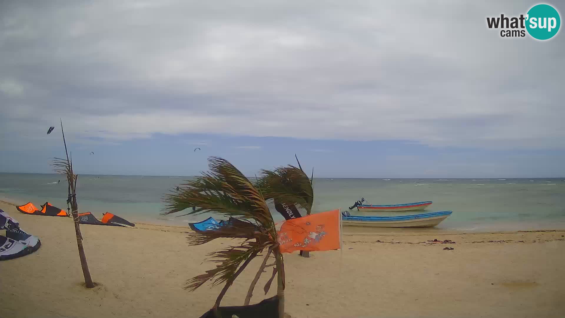 Live webcam Kite Buen Hombre scuola Kiteboarding – Spiaggia Buen Hombre – Monte Cristi – Repubblica Dominicana