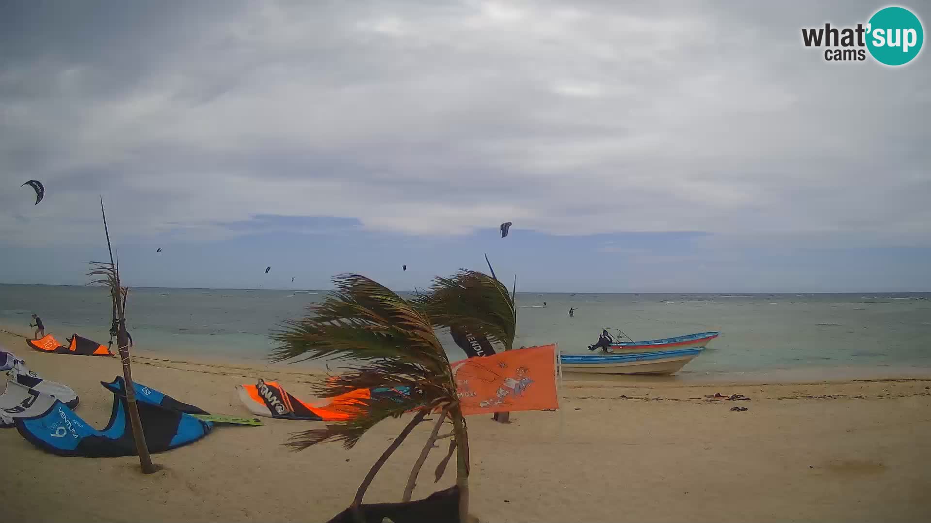 Spletna kamera Kite Buen Hombre Kiteboarding – plaža Buen Hombre – Monte Cristi – Dominikanska Republika