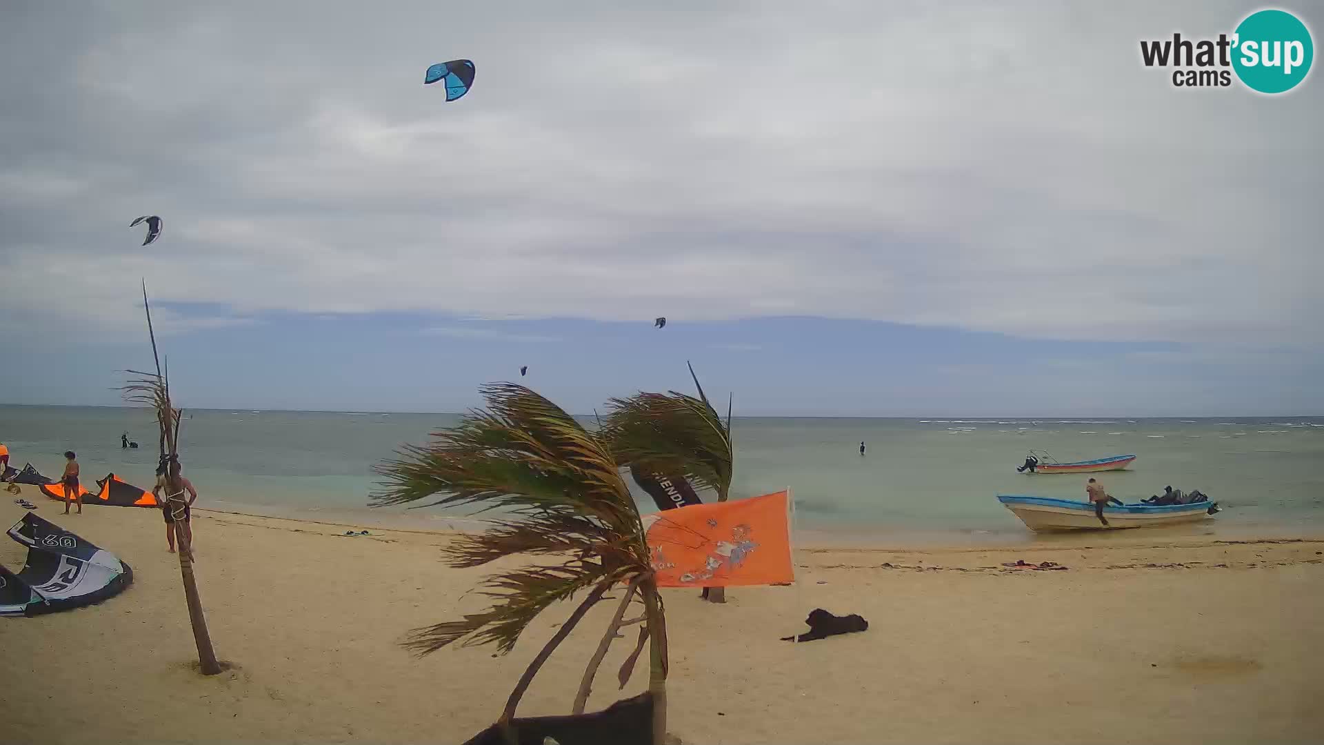 Kite Buen Hombre webcam Kiteboarding Schule – Buen Hombre Strand – Monte Cristi – Dominikanische Republik
