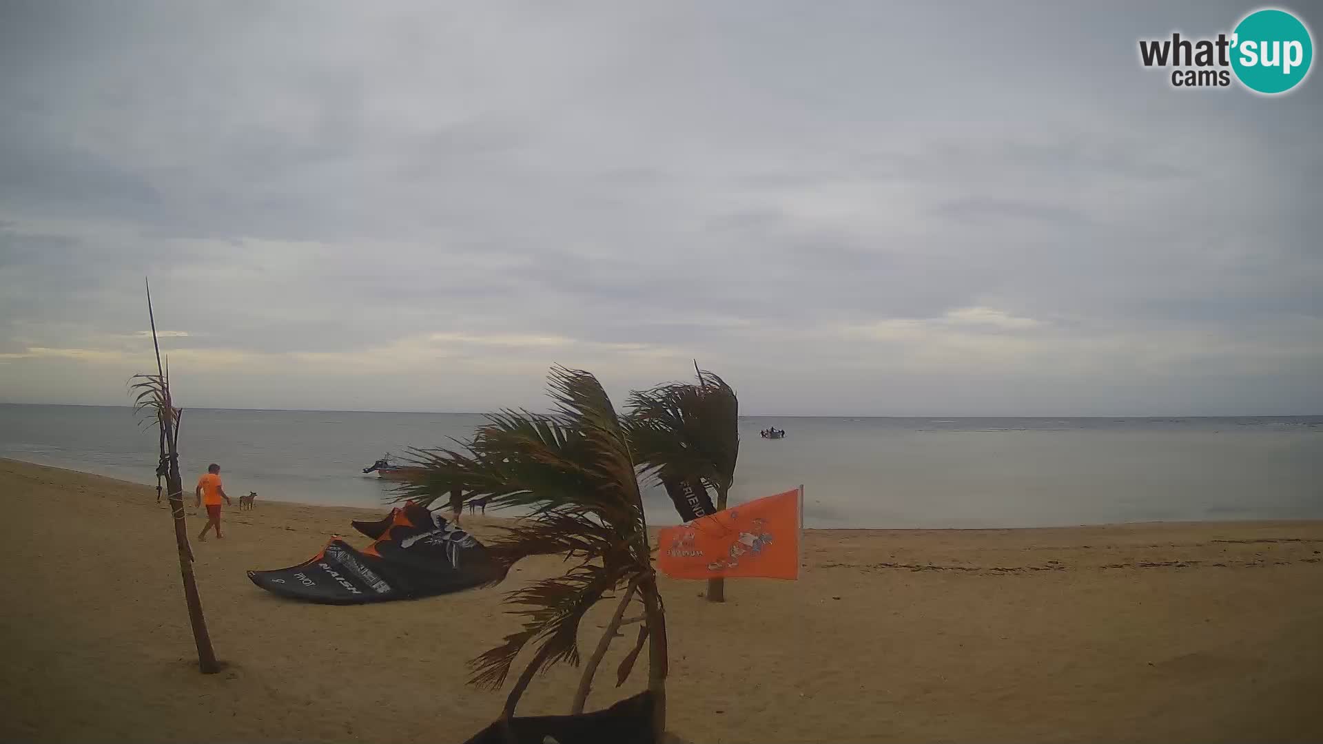 Spletna kamera Kite Buen Hombre Kiteboarding – plaža Buen Hombre – Monte Cristi – Dominikanska Republika