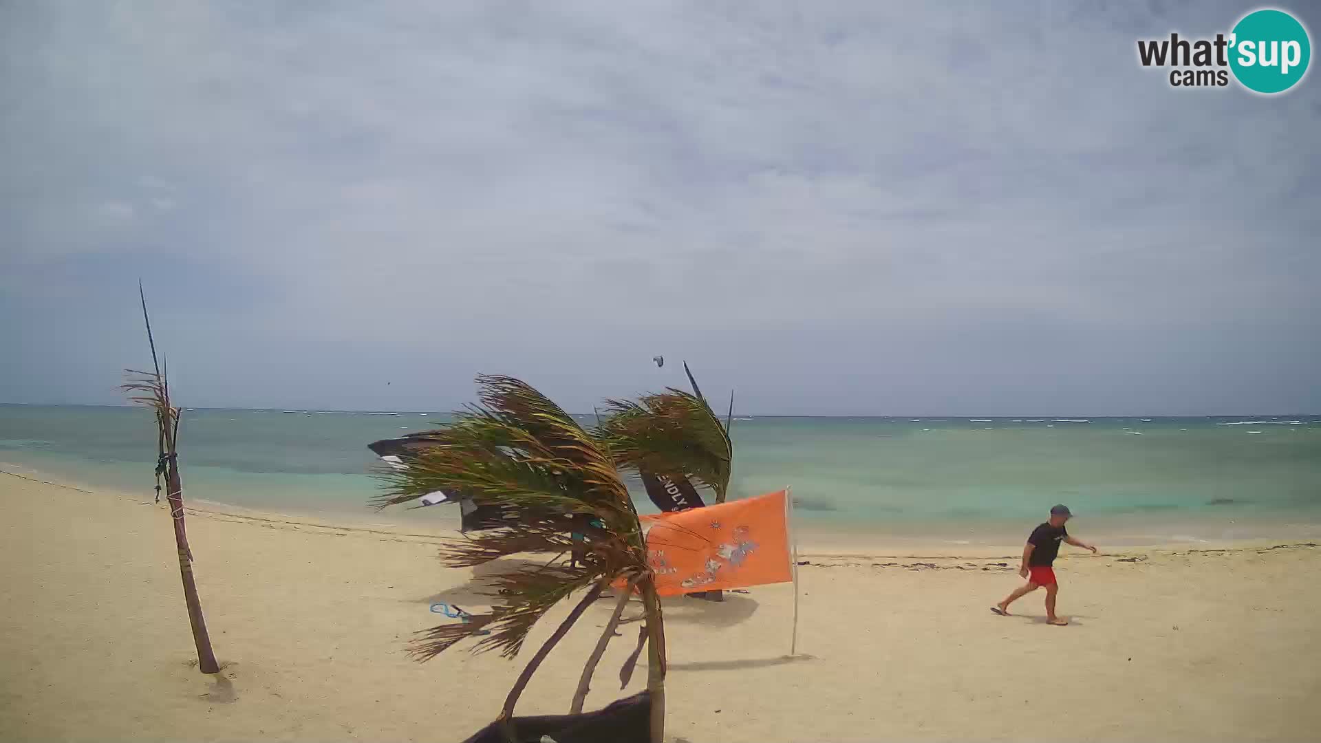 Spletna kamera Kite Buen Hombre Kiteboarding – plaža Buen Hombre – Monte Cristi – Dominikanska Republika