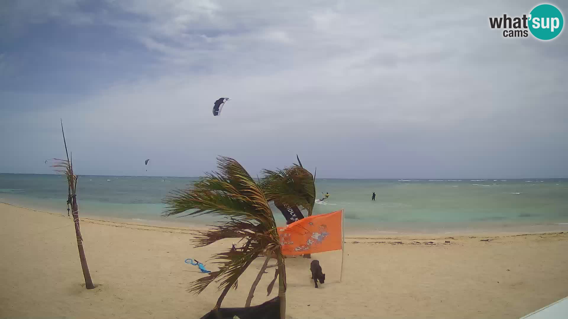 Webcam KITE BUEN HOMBRE KITEBOARDING SCHOOL – Buen Hombre Beach – Monte Cristi – Dominican Republic