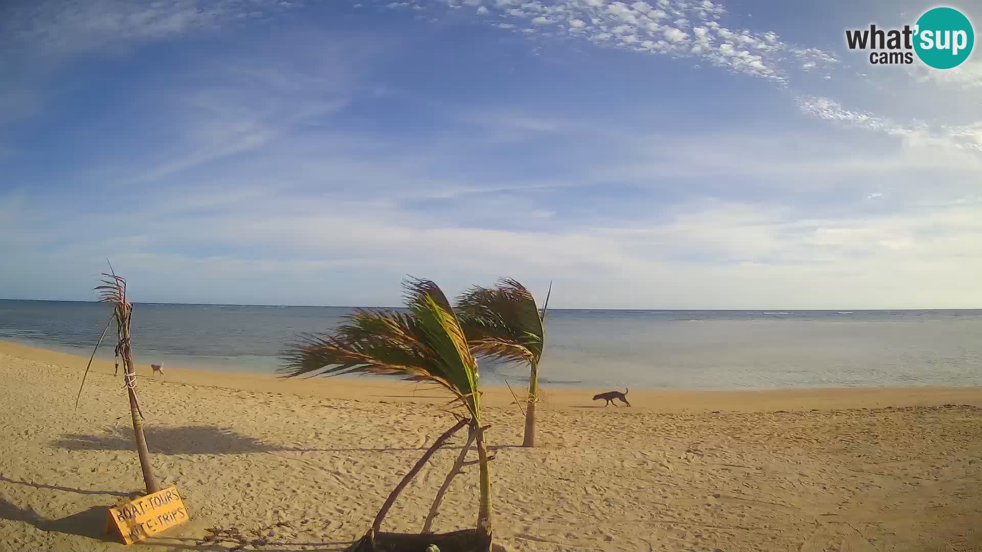 Web kamera Kite Buen Hombre Kiteboarding School – plaža Buen Hombre – Monte Cristi – Dominikanska Republika