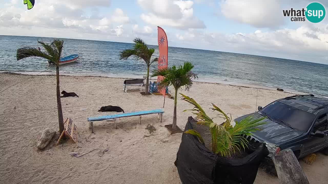 Live webcam Kite Buen Hombre scuola Kiteboarding – Spiaggia Buen Hombre – Monte Cristi – Repubblica Dominicana