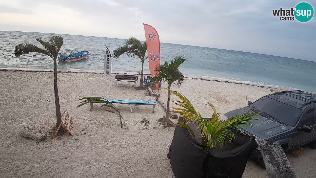 Kite Buen Hombre webcam Kiteboarding Schule – Buen Hombre Strand – Monte Cristi – Dominikanische Republik