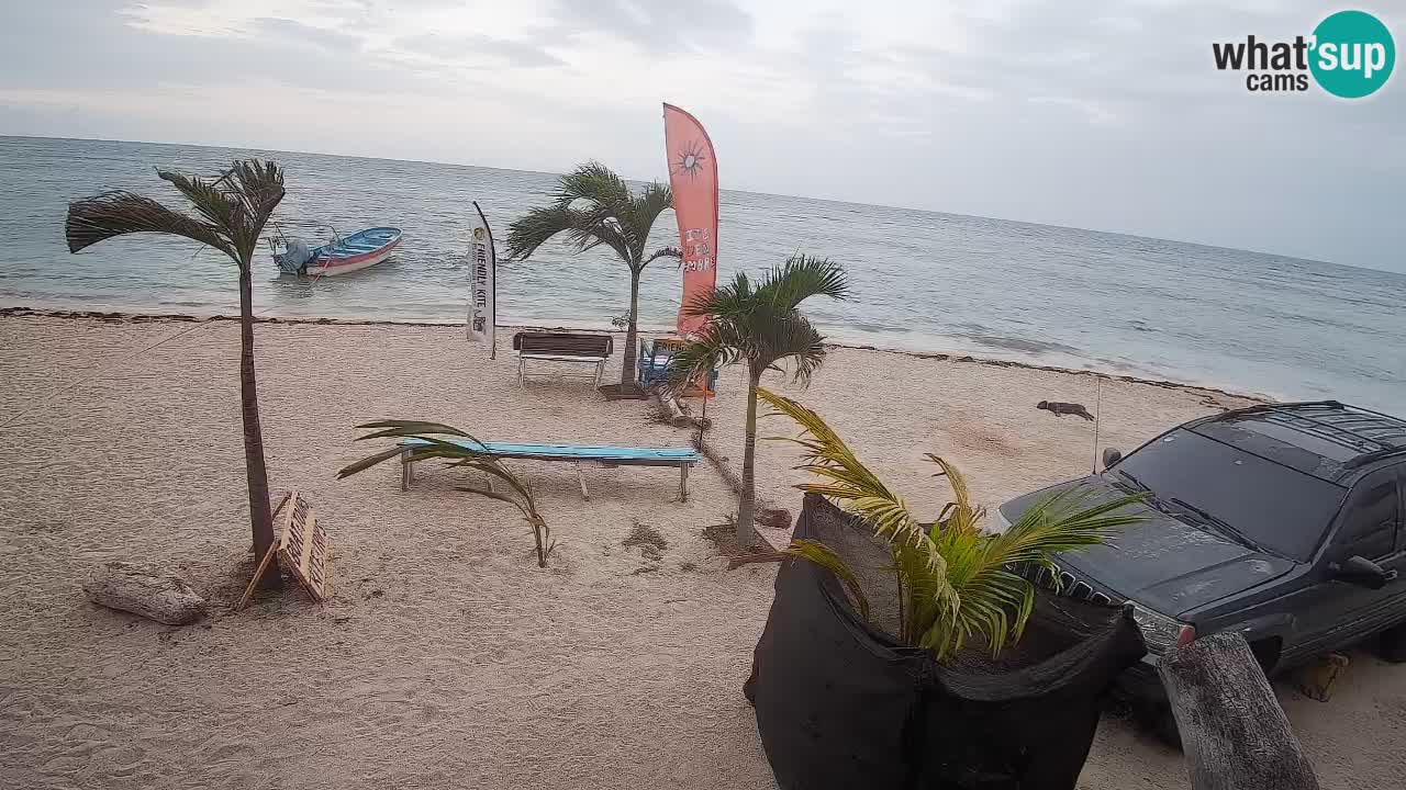 Live webcam Kite Buen Hombre scuola Kiteboarding – Spiaggia Buen Hombre – Monte Cristi – Repubblica Dominicana