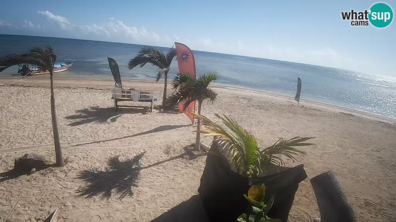 Spletna kamera Kite Buen Hombre Kiteboarding – plaža Buen Hombre – Monte Cristi – Dominikanska Republika
