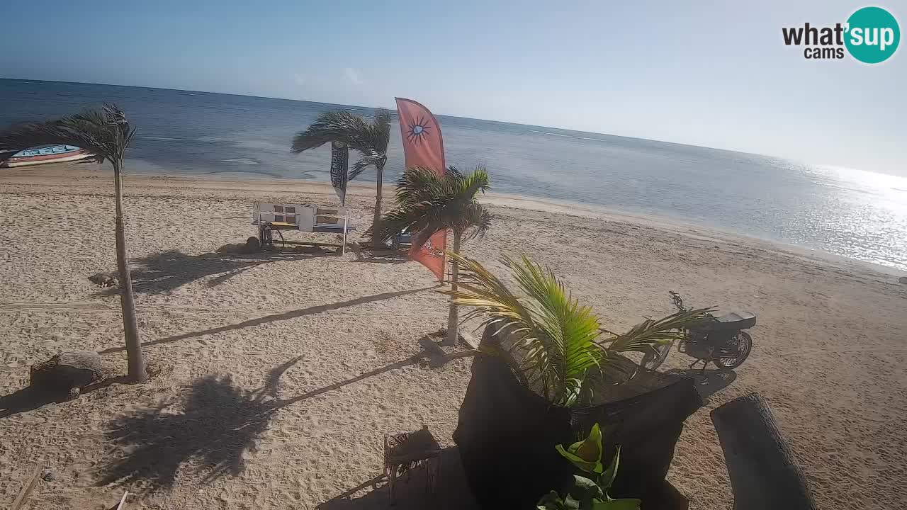 Spletna kamera Kite Buen Hombre Kiteboarding – plaža Buen Hombre – Monte Cristi – Dominikanska Republika