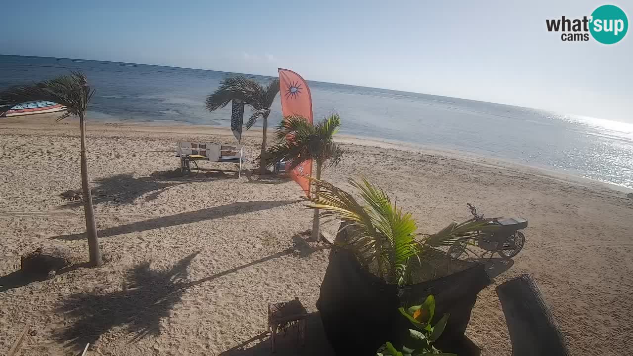Kite Buen Hombre webcam Kiteboarding Schule – Buen Hombre Strand – Monte Cristi – Dominikanische Republik