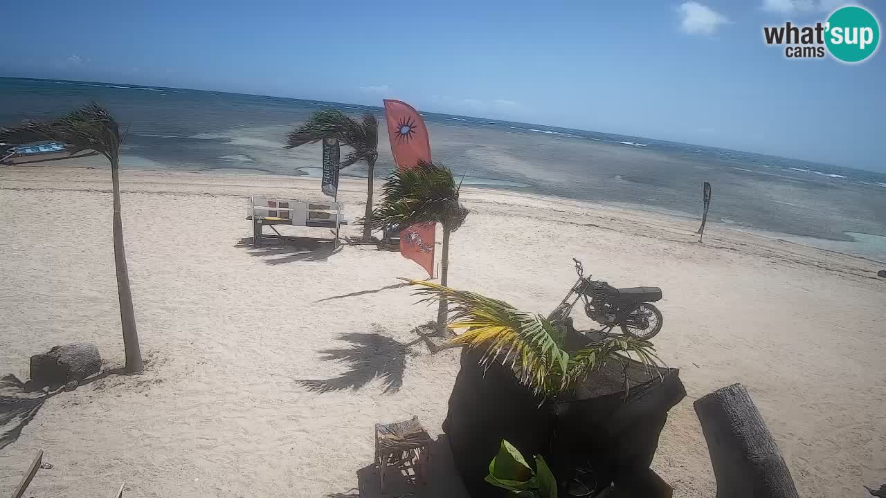 Spletna kamera Kite Buen Hombre Kiteboarding – plaža Buen Hombre – Monte Cristi – Dominikanska Republika