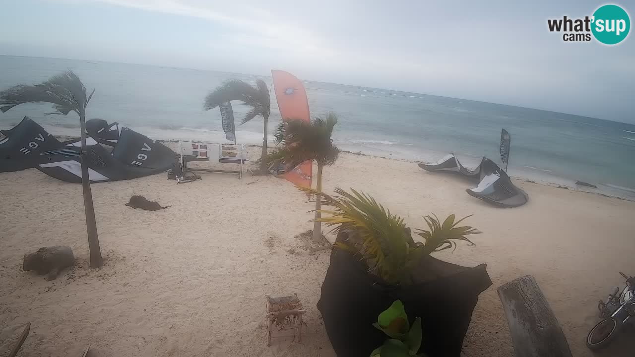 Spletna kamera Kite Buen Hombre Kiteboarding – plaža Buen Hombre – Monte Cristi – Dominikanska Republika