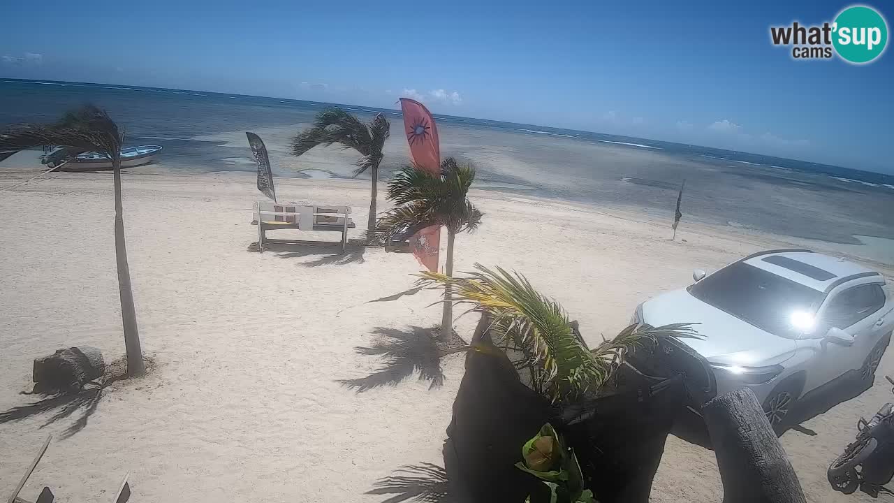 Live webcam Kite Buen Hombre scuola Kiteboarding – Spiaggia Buen Hombre – Monte Cristi – Repubblica Dominicana