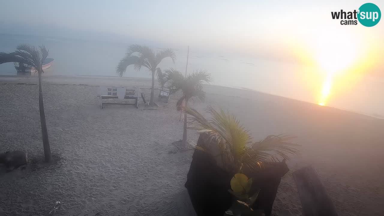 Spletna kamera Kite Buen Hombre Kiteboarding – plaža Buen Hombre – Monte Cristi – Dominikanska Republika