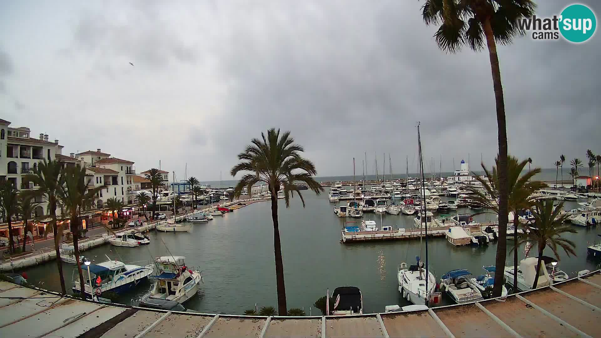 Spletna kamera Puerto de la Duquesa – Marina