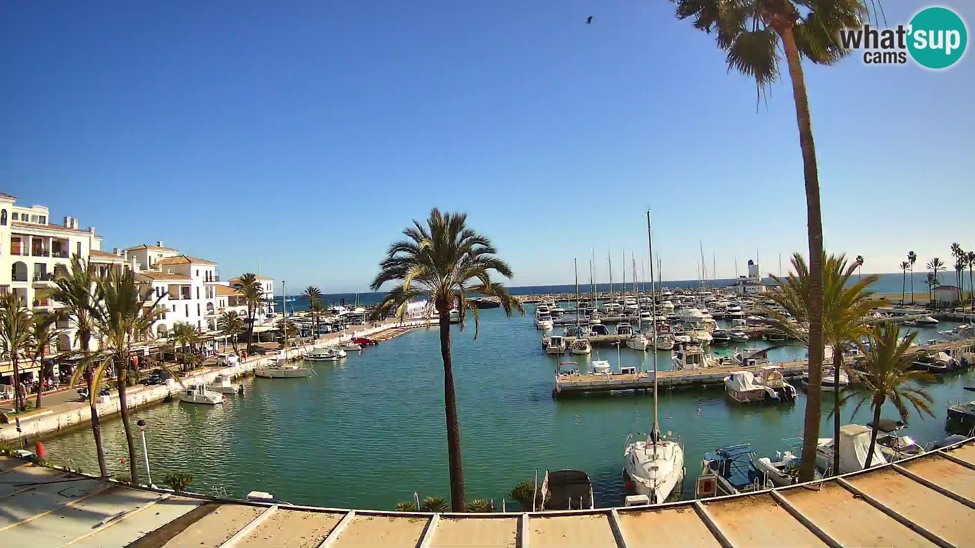 Camera en Vivo Puerto de la Duquesa – Marina