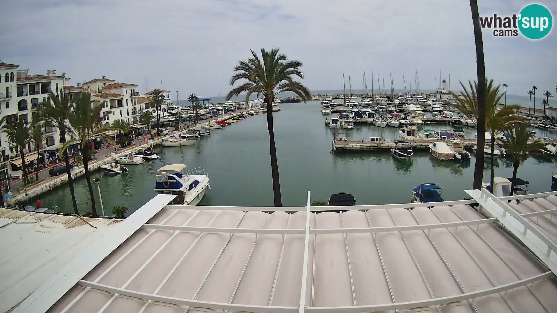 webcam Puerto de la Duquesa – Marina