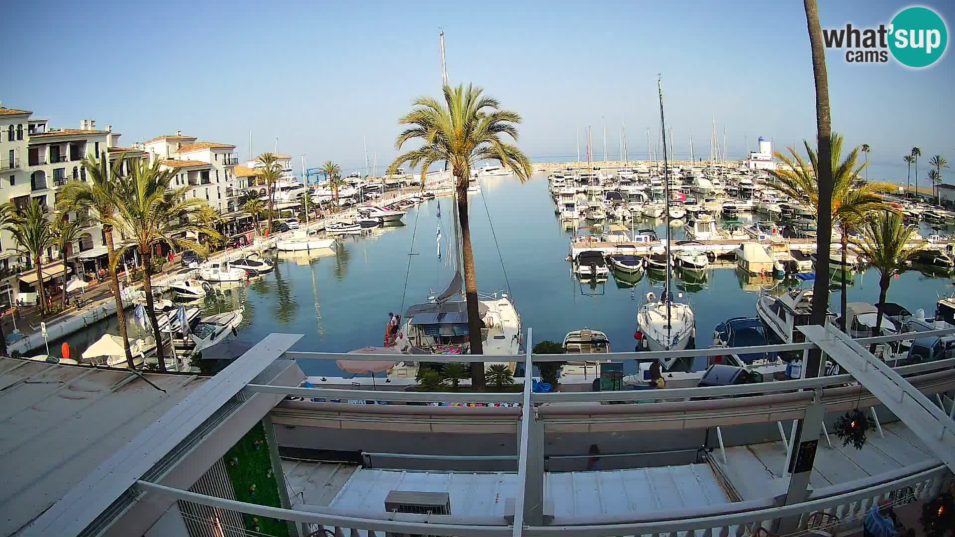 Live webcam Puerto de la Duquesa – Marina