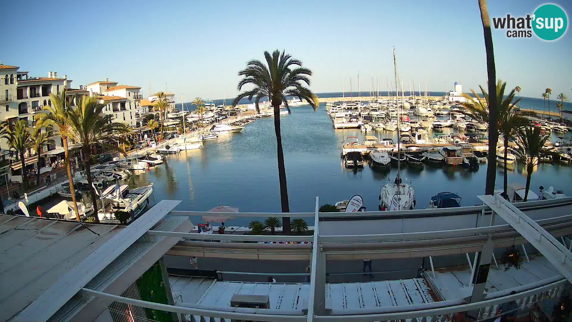 Camera en Vivo Puerto de la Duquesa – Marina