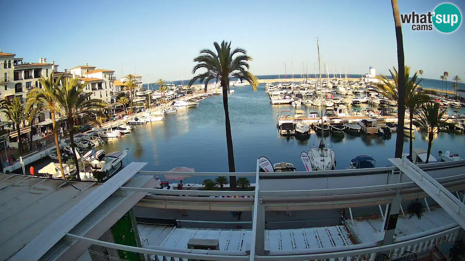webcam Puerto de la Duquesa – Marina