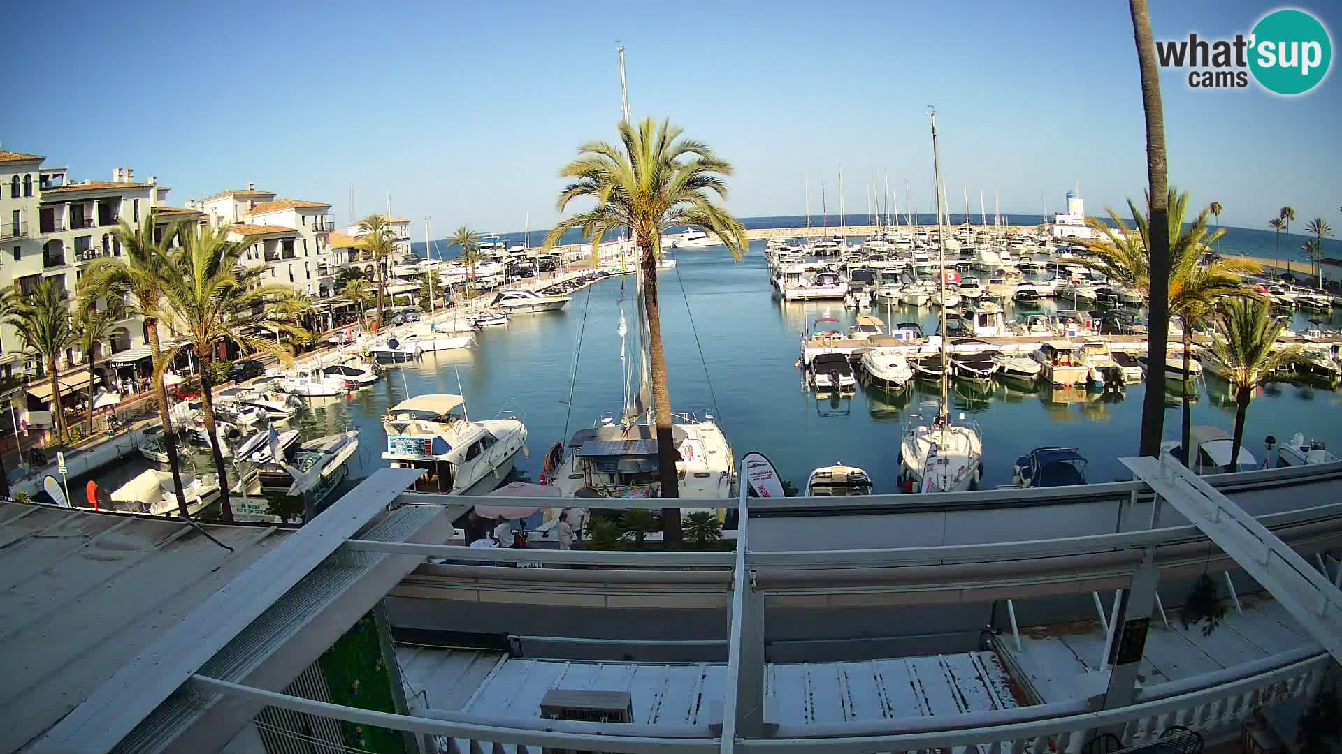 Camera en Vivo Puerto de la Duquesa – Marina