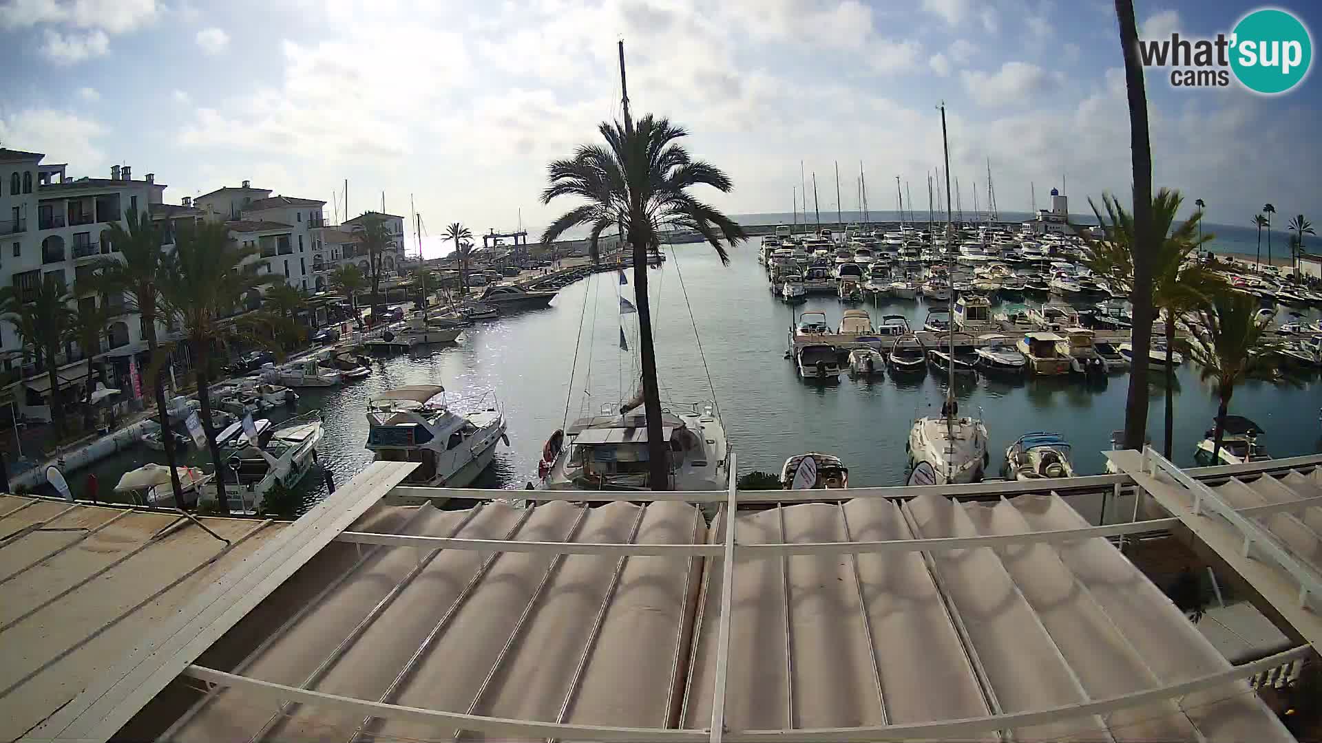 Camera en Vivo Puerto de la Duquesa – Marina