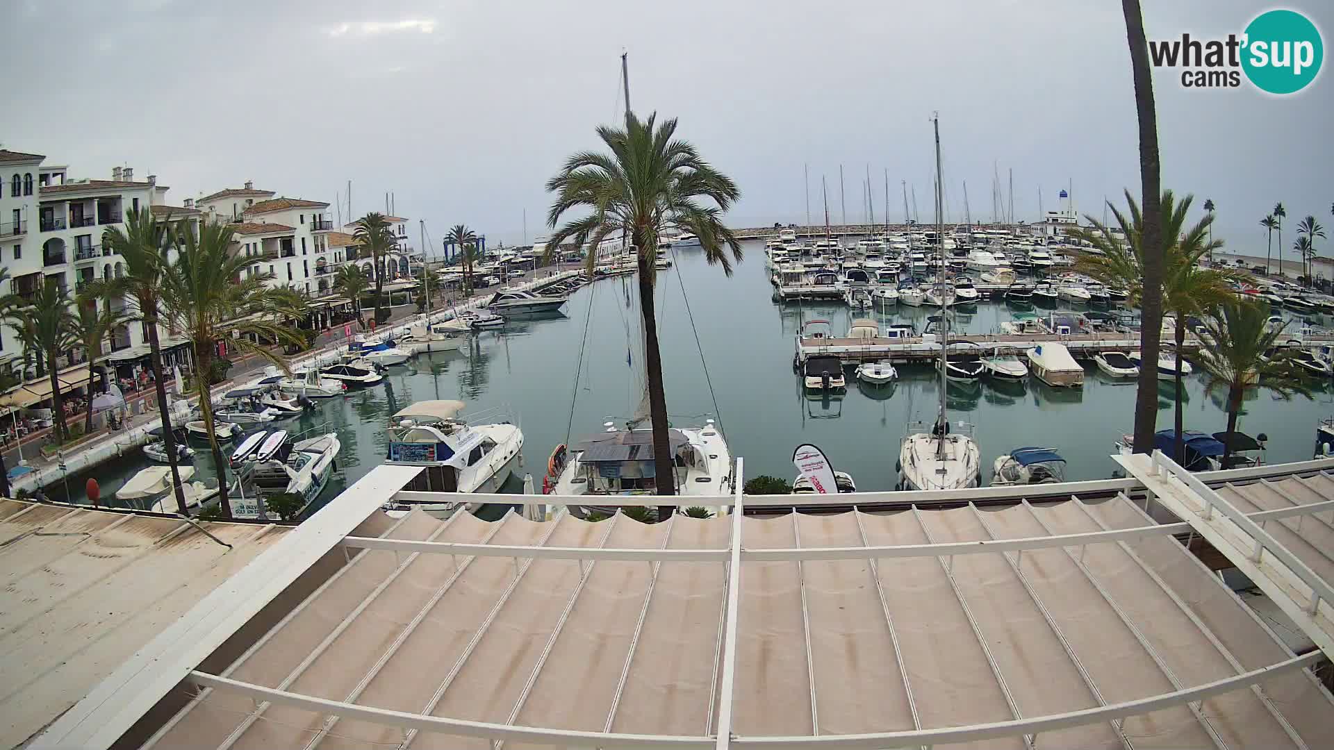 Live webcam Puerto de la Duquesa – Marina