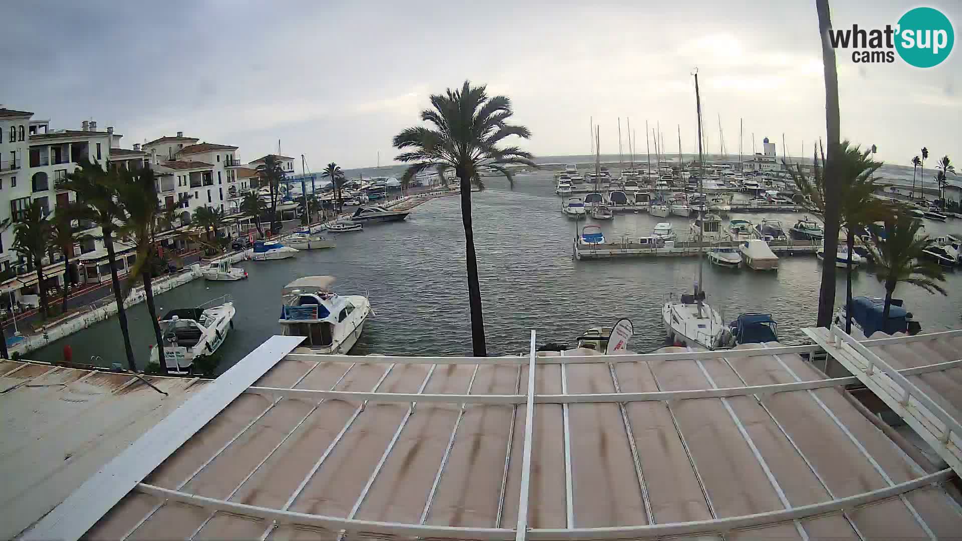 Camera en Vivo Puerto de la Duquesa – Marina