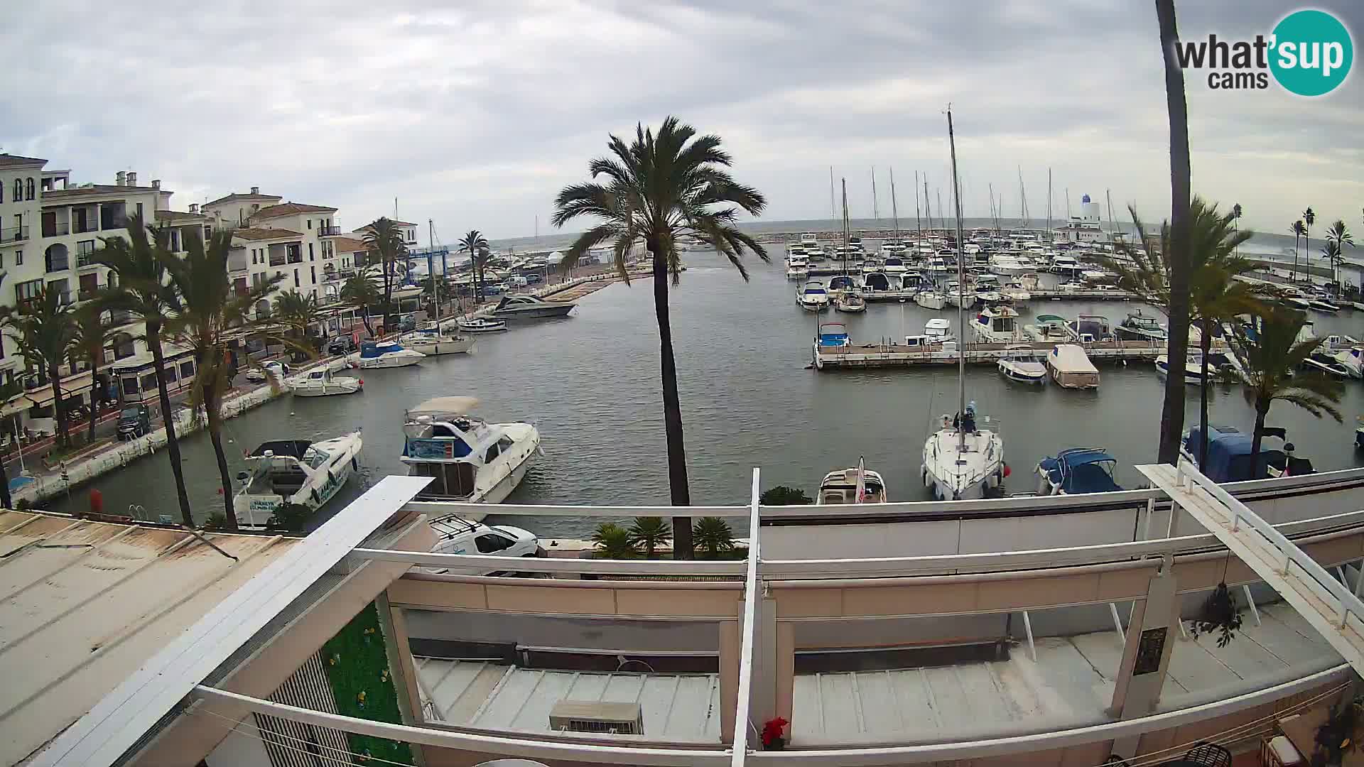 Live webcam Puerto de la Duquesa – Marina