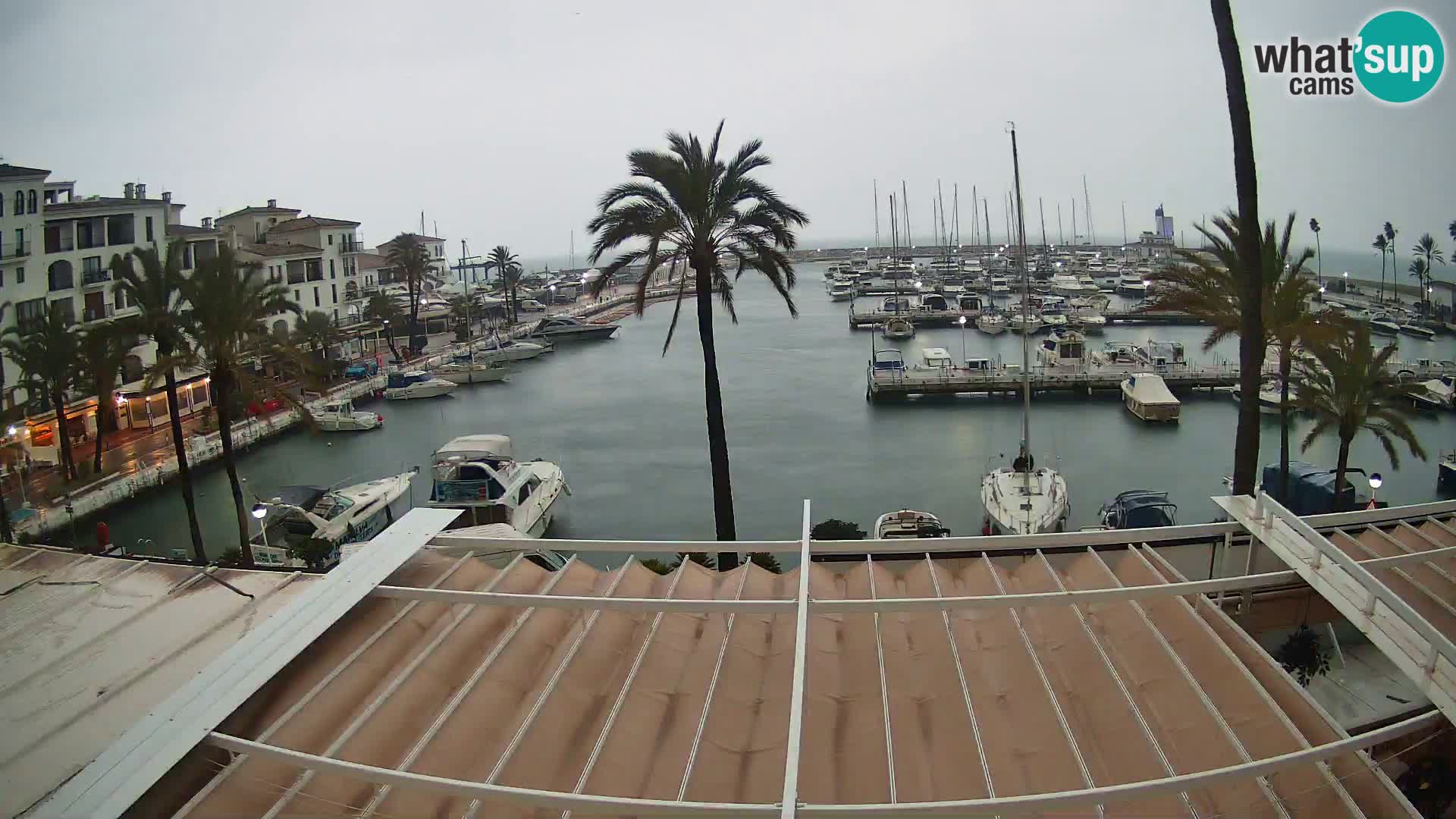 Puerto de la Duquesa webcam – Marina