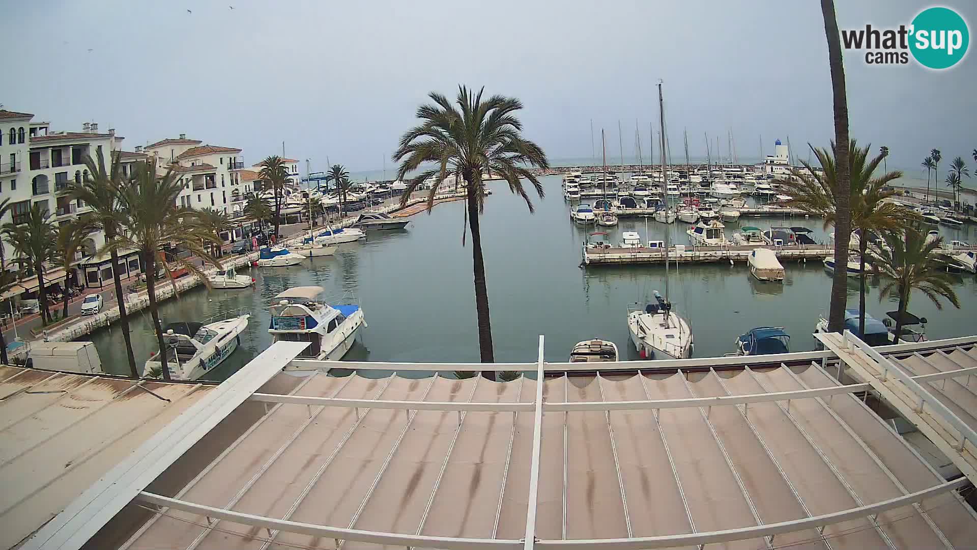 Camera en Vivo Puerto de la Duquesa – Marina