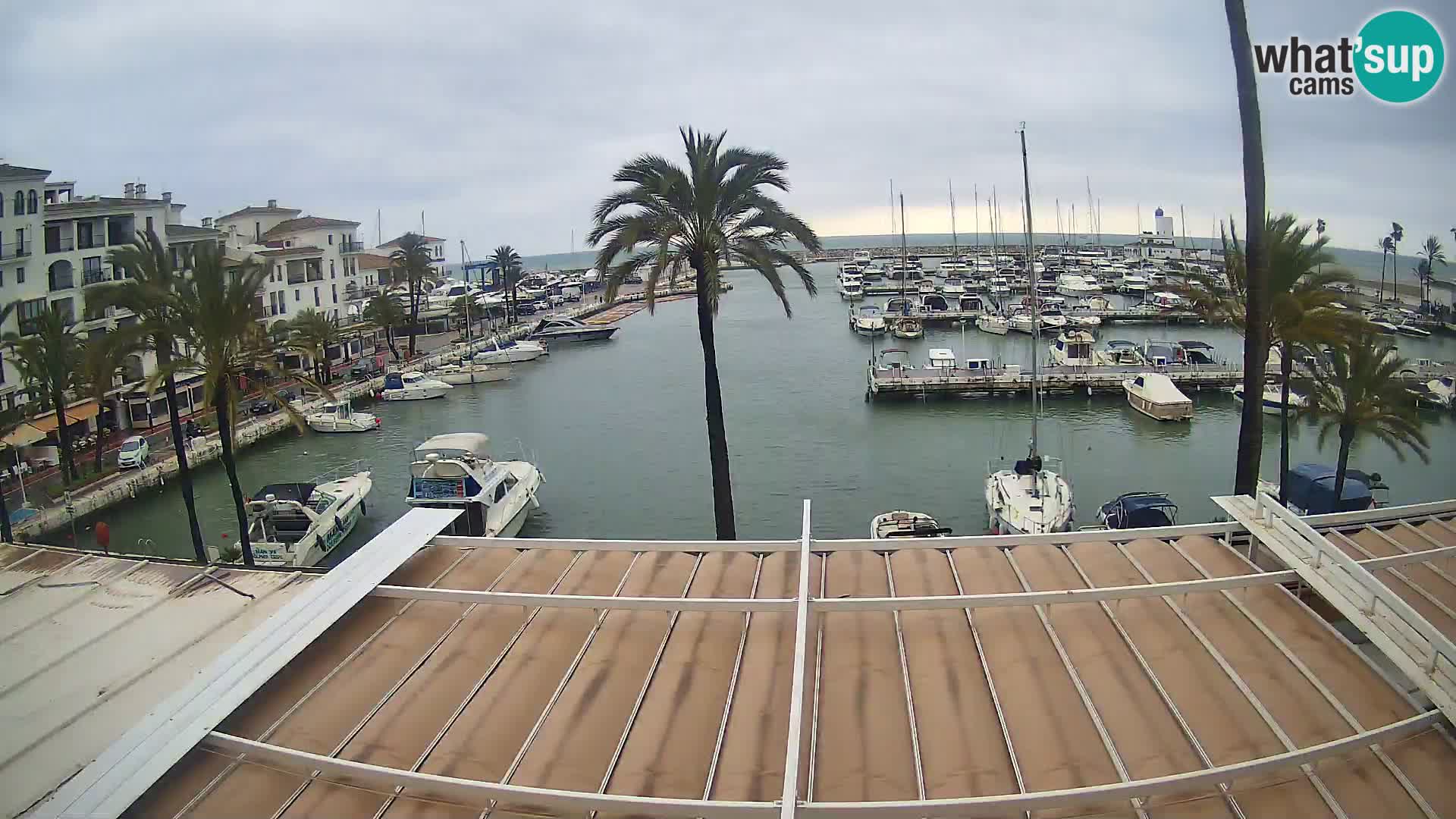 Puerto de la Duquesa webcam – Marina