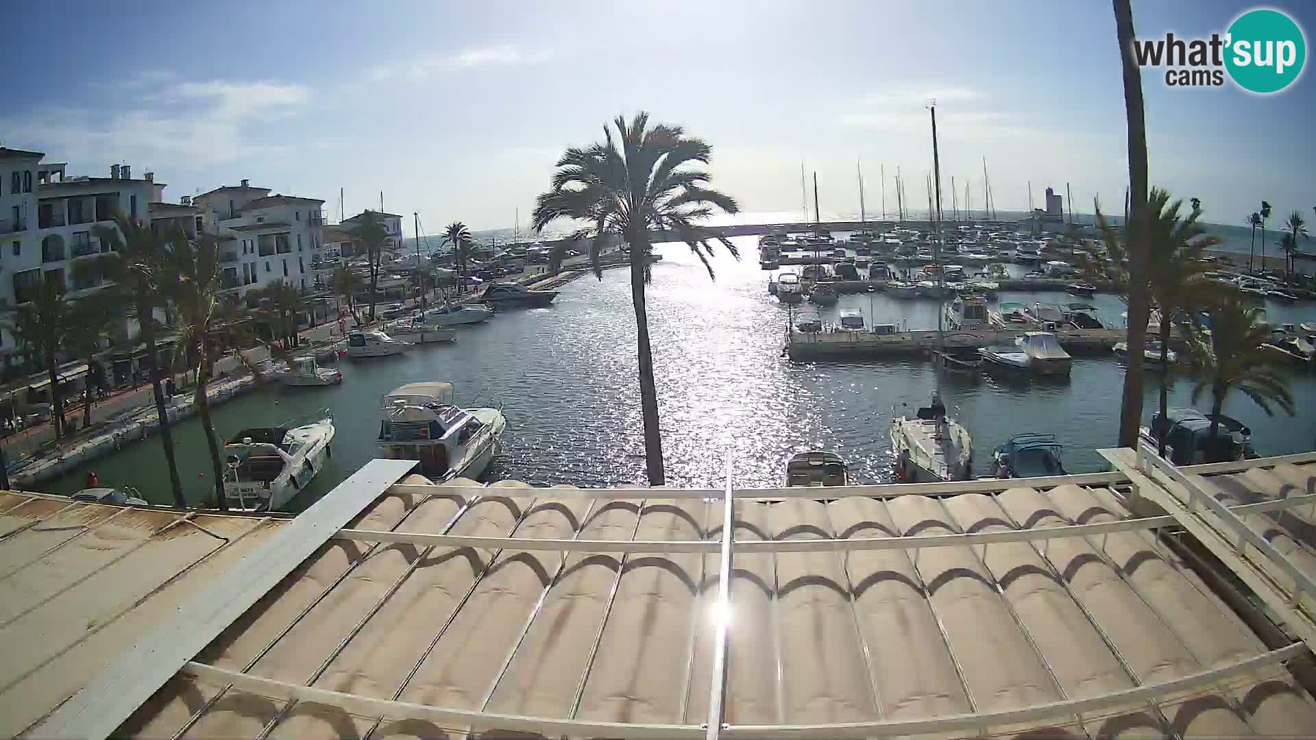 Camera en Vivo Puerto de la Duquesa – Marina