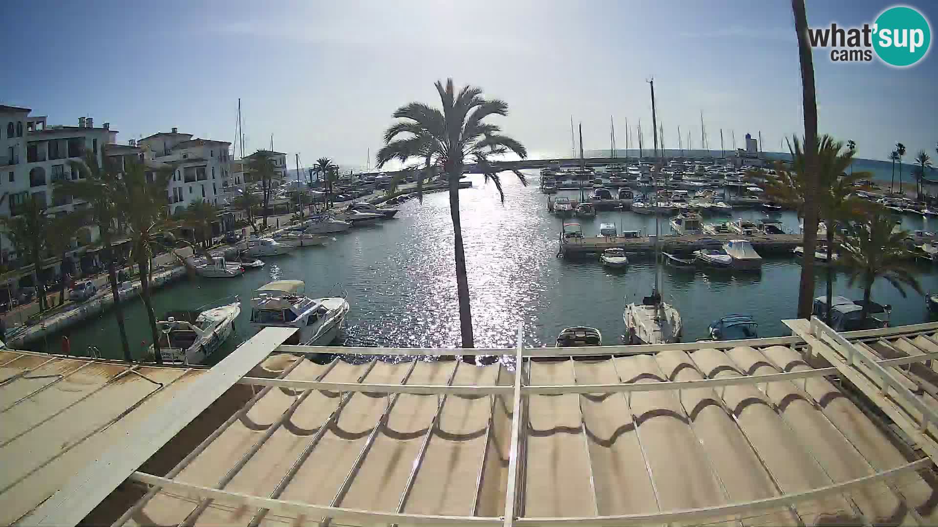 Camera en Vivo Puerto de la Duquesa – Marina