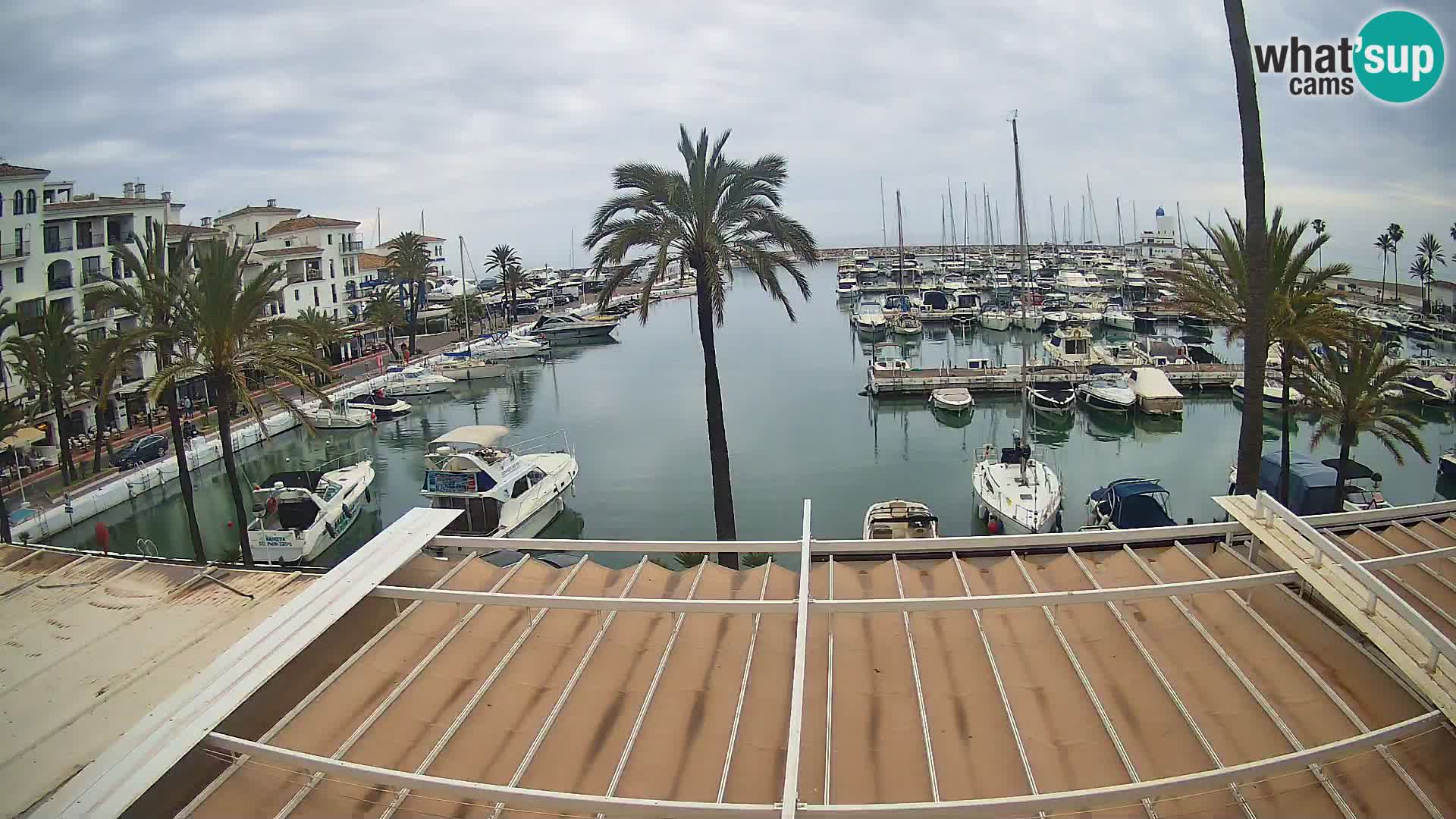 Puerto de la Duquesa webcam – Marina