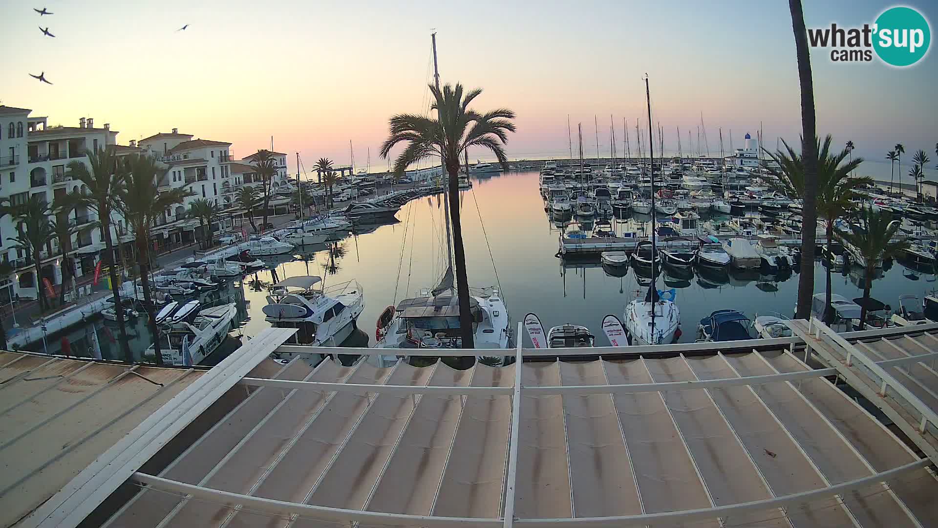 Spletna kamera Puerto de la Duquesa – Marina