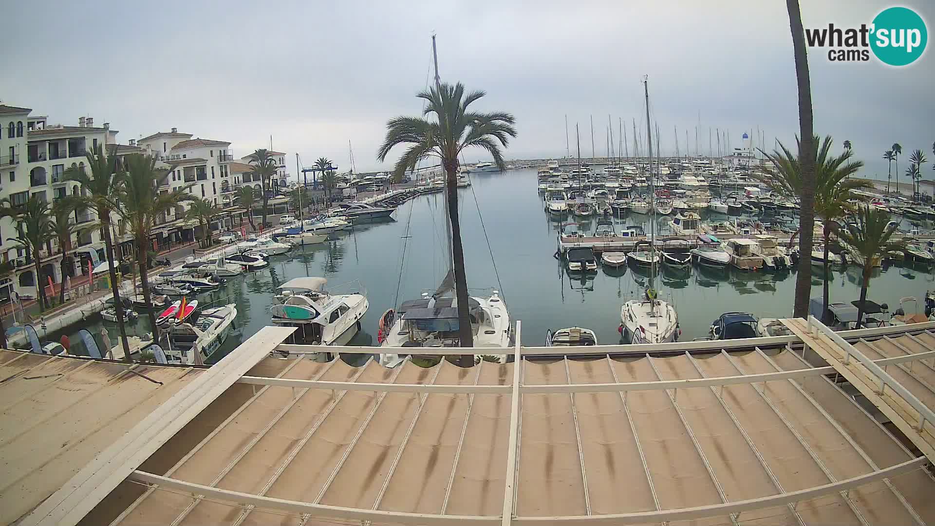 webcam Puerto de la Duquesa – Marina