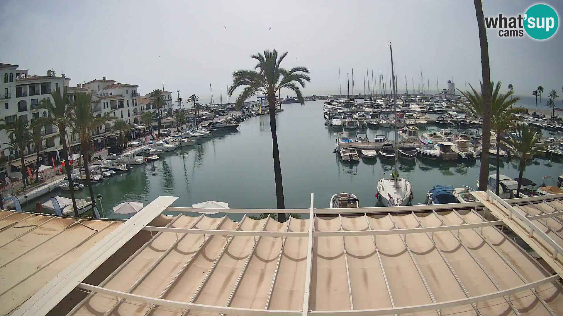 Live webcam Puerto de la Duquesa – Marina