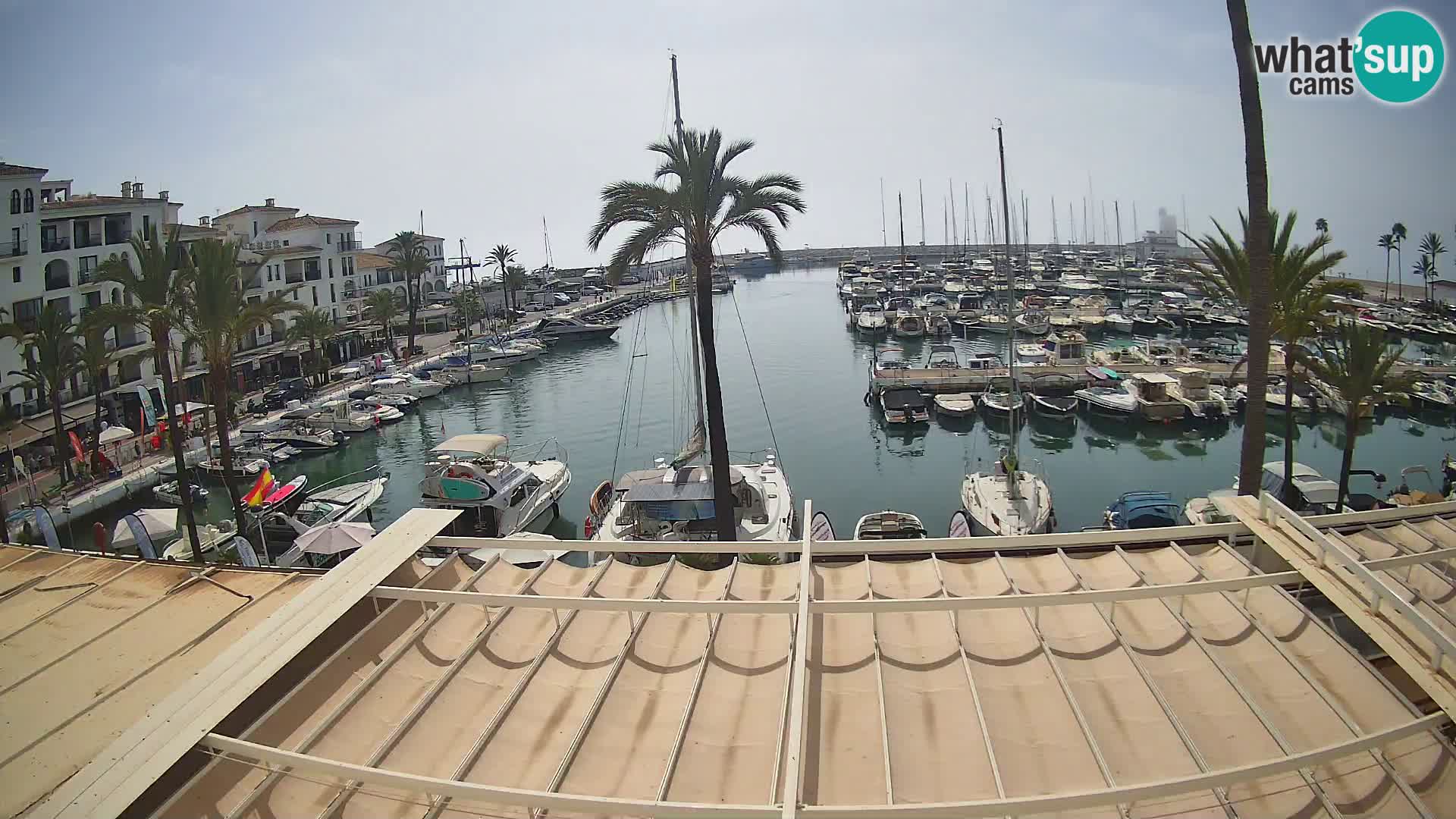webcam Puerto de la Duquesa – Marina