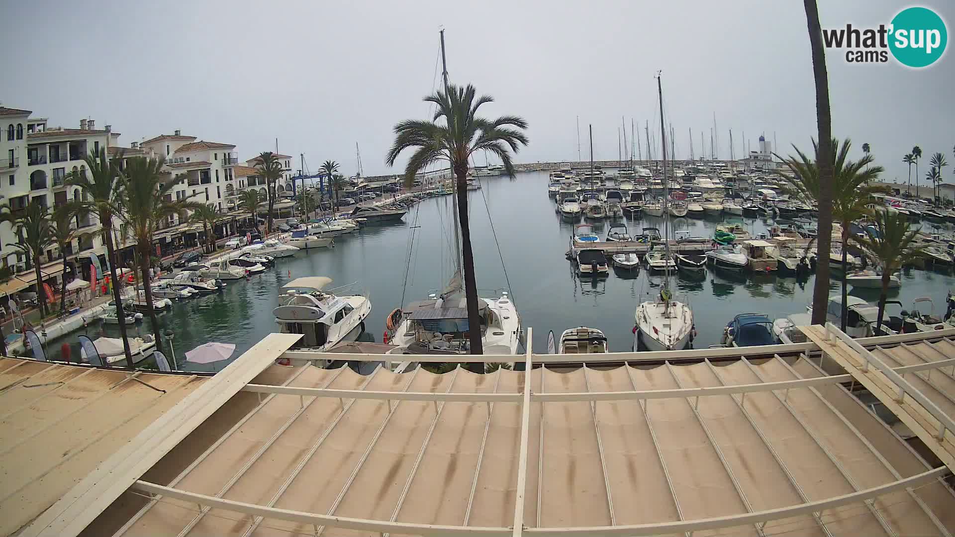 Puerto de la Duquesa webcam – Marina