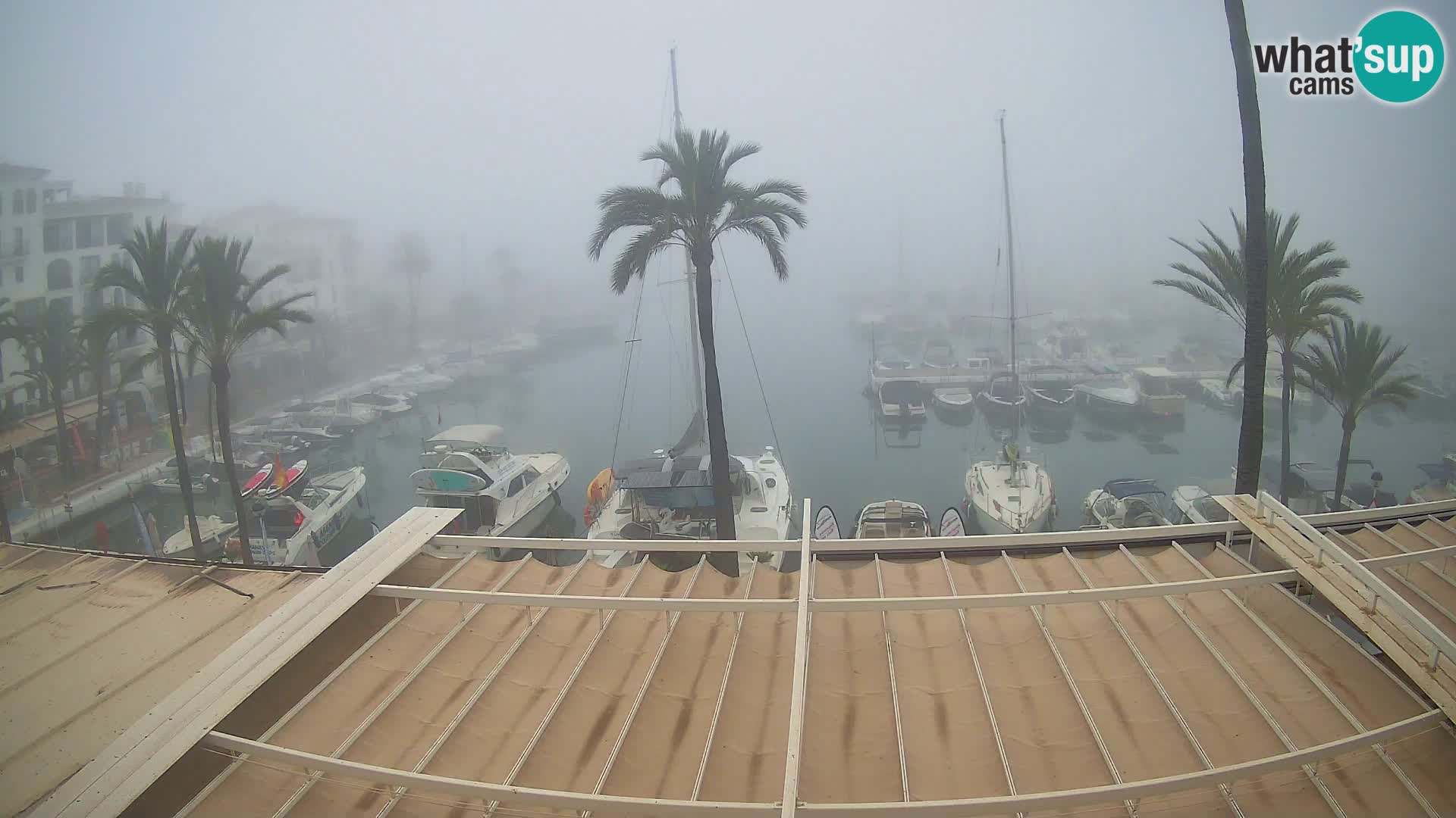 Camera en Vivo Puerto de la Duquesa – Marina