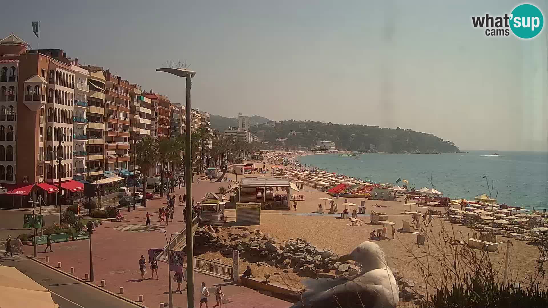 Web kamera Lloret de Mar – plaža