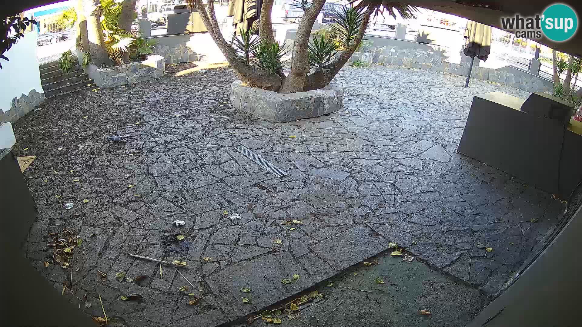 Lloret de Mar – Dr. Döner