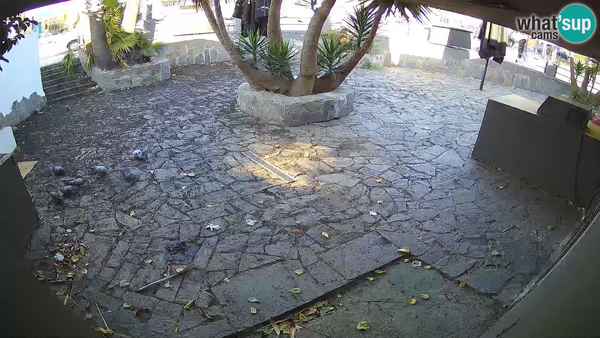 Lloret de Mar – Dr. Döner