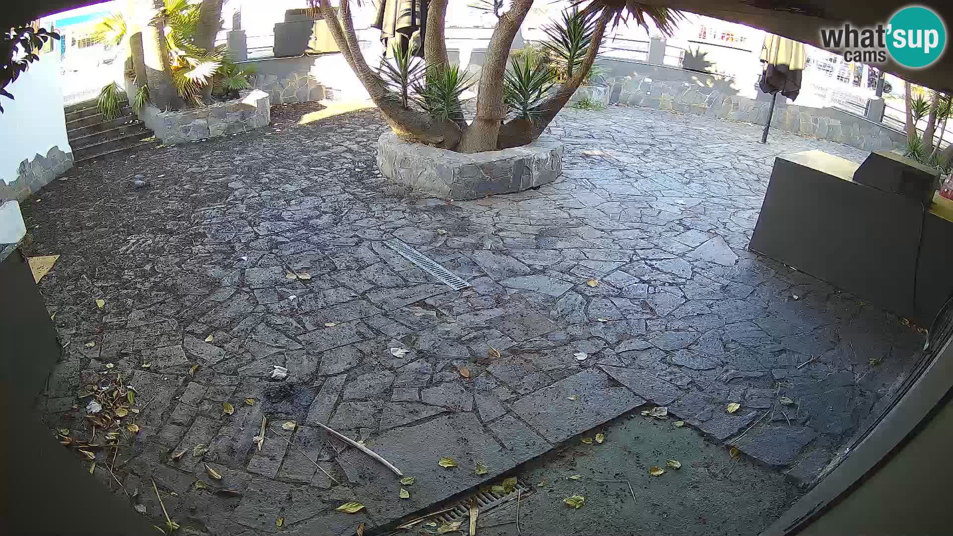 Lloret de Mar – Dr. Döner