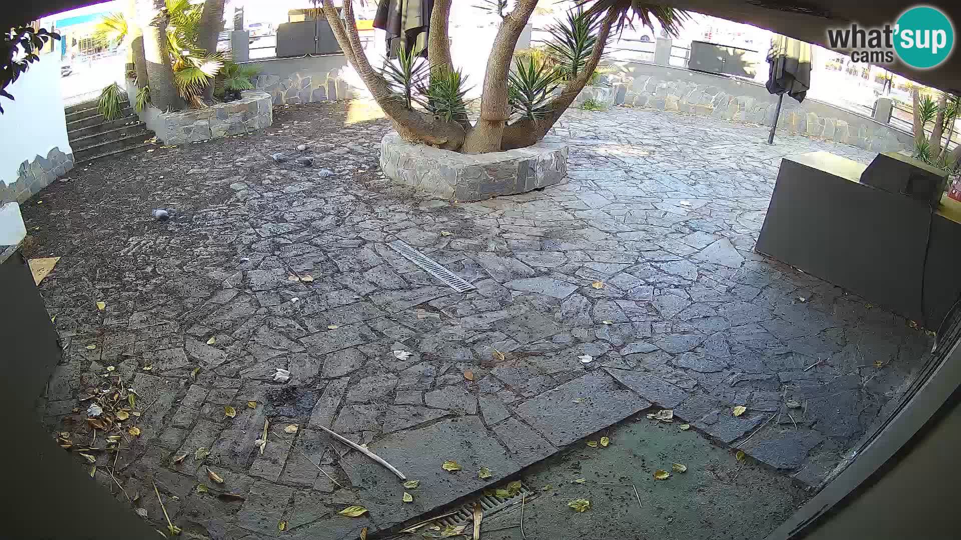 Lloret de Mar – Dr. Döner