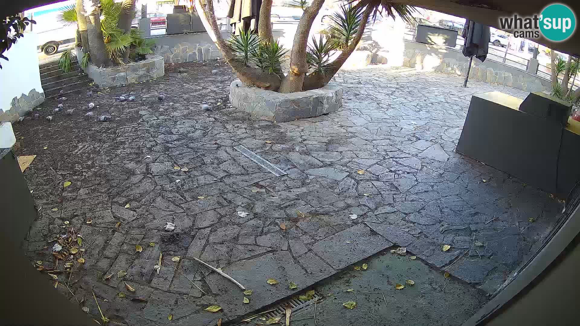 Lloret de Mar – Dr. Döner