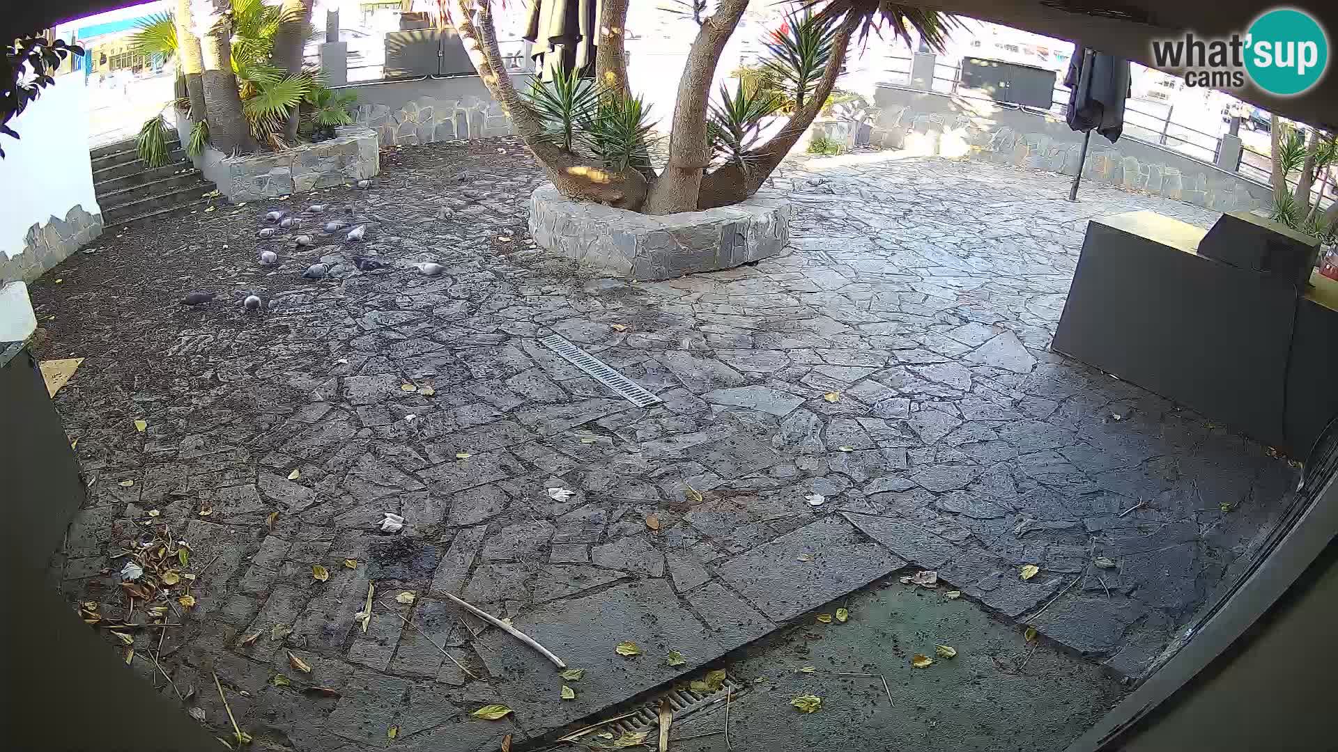 Lloret de Mar – Dr. Döner